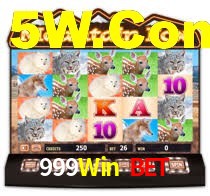 999Win Bet,999Win Login